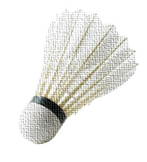 shuttlecock meaning