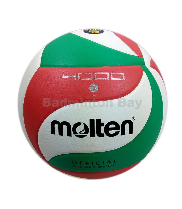 Molten V5M4000 Official Size 5 Volleyball