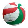 Molten V5M4000 Official Size 5 Volleyball