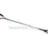 ~Out of stock Apacs Stern 100 Badminton Racket (4U)