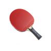 Butterfly Stayer 1600 Shakehand FL Table Tennis Racket with Rubber and 2 Balls