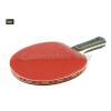~ Out of stock  Nittaku Smash Shake 1500 FL Shakehand Table Tennis Racket with 2 balls