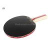 ~ Out of stock  Nittaku Shake 1000 FL Shakehand Table Tennis Racket with 2 balls