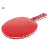 ~ Out of stock  Nittaku Shake 2000 FL Shakehand Table Tennis Racket with 2 balls