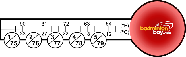 Yonex Shuttlecock Speed Chart